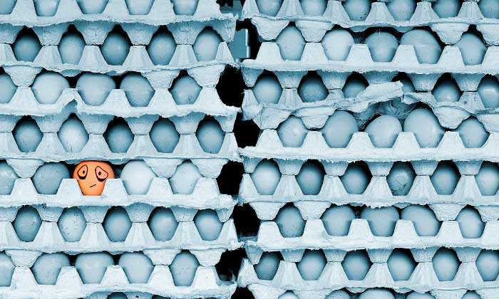 © AdobeStock