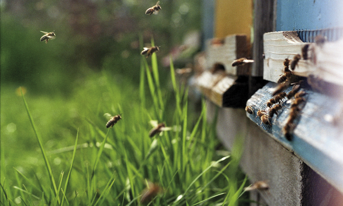 John Dow_photocase.de