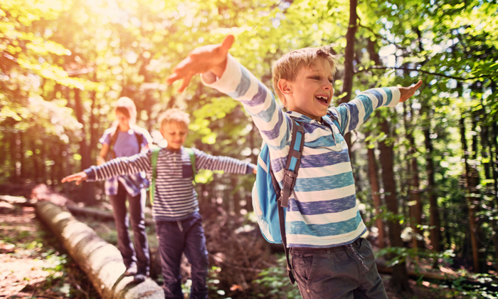 Kinder als Sachensucher: 8 Gründe, warum Sachen sammeln für Kinder so  wichtig ist – Natur mit Kind