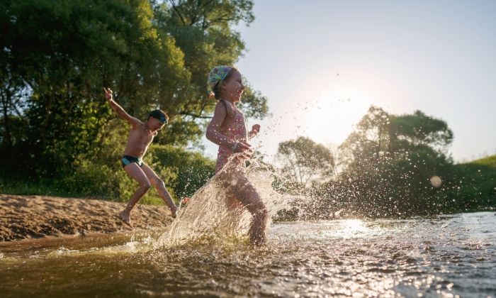 © skif/Adobe Stock
