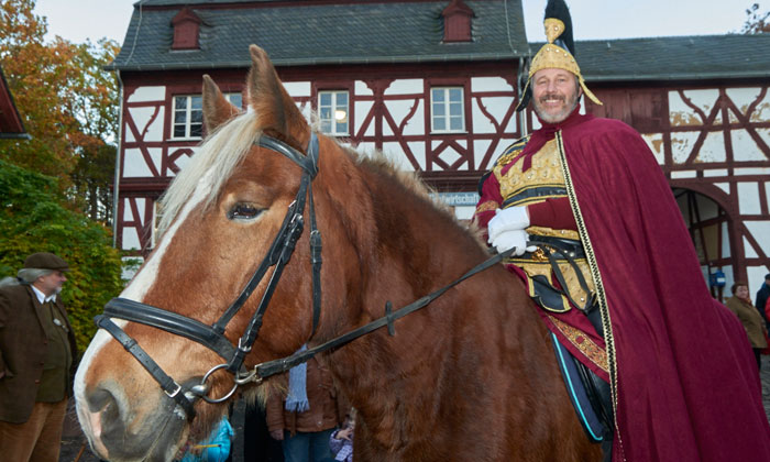 St. Martin LVR Kommern