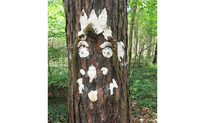 Erlebnisausflug Bonnatours