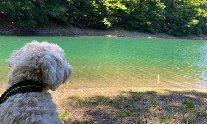 Karibikfeeling an der Wahnbachtalsperre KÄNGURU Magazin