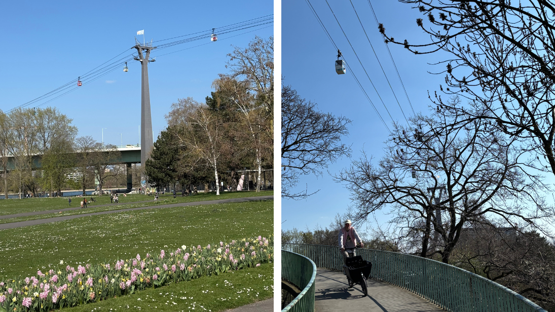 Kölner Seilbahn © Sue Herrmann
