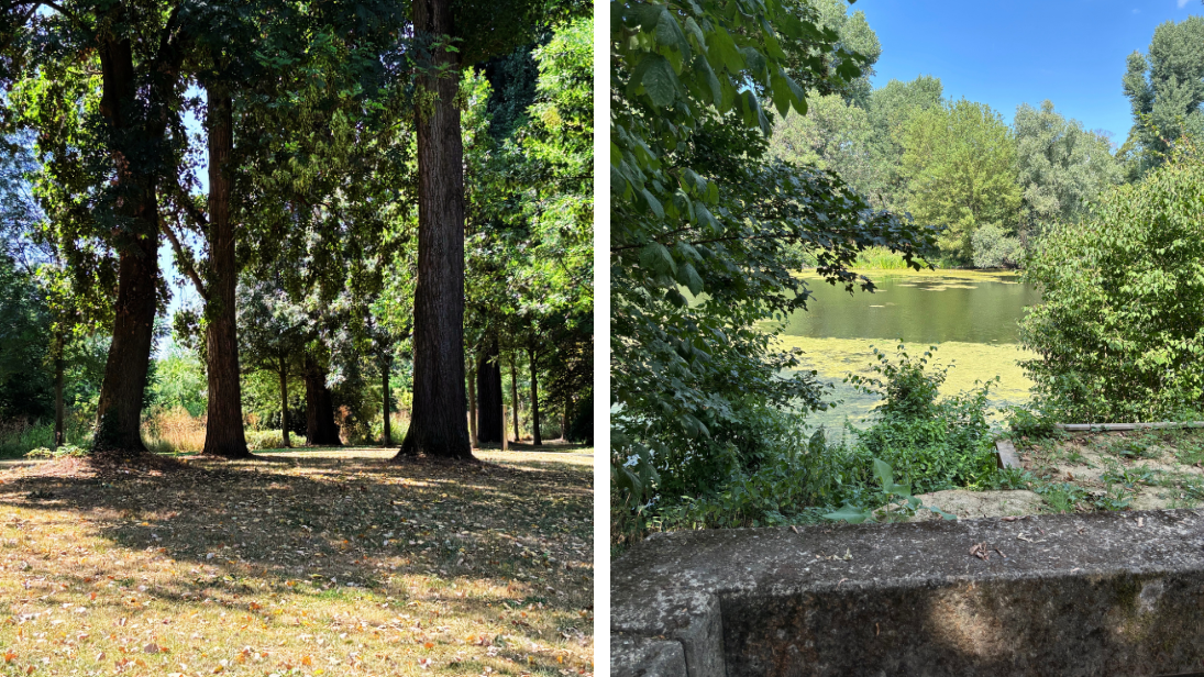 Idylle entlang altem Baumbestand © Sue Herrmann