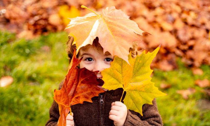 Eine beliebte Beschäftigung im Herbst: Blätter sammeln und pressen. © Volodymyr/Adobe Stock