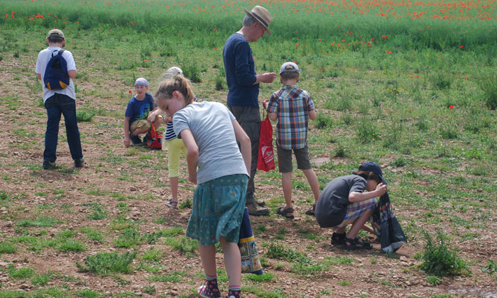 Ein Familienerlebnis: Nach Fossilien in Nettersheim suchen © Christoph Schrahe