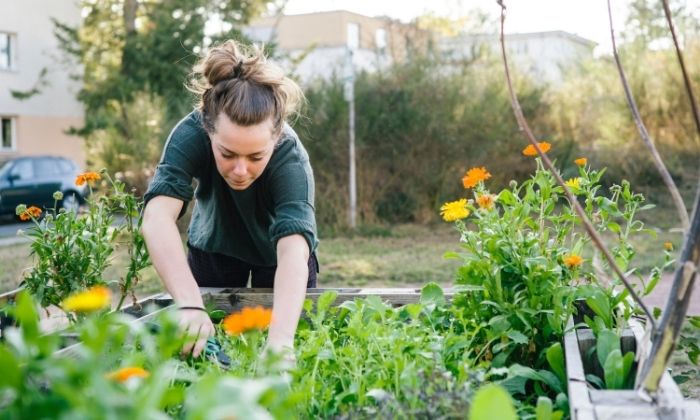 Urban Gardening © iStock/fotografixx