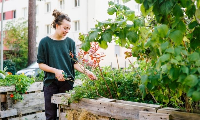 Urbanes Gärtnern © iStock/fotografixx