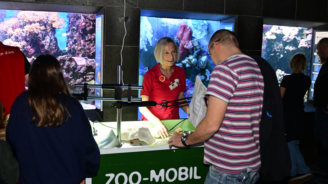 Lange Nacht im Aquarium © Kölner Zoo