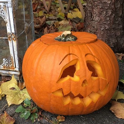 Halloween-Kürbis © Janina Mogendorf