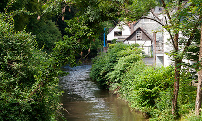 Mühlentag